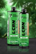 Заказать SportTech L-Carnitine+Green Tea Liquid 500 мл